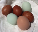 Farm Fresh Eggs
