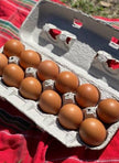 Bovan Reds - BROWN EGGS - READY TO LAY = PICK UP ONLY and Shipping Available