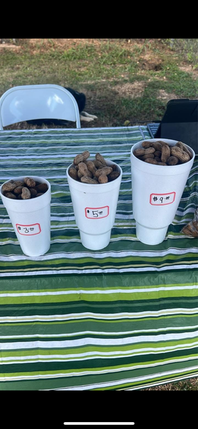 Boiled Peanuts - Traditional and Cajun Flavored
