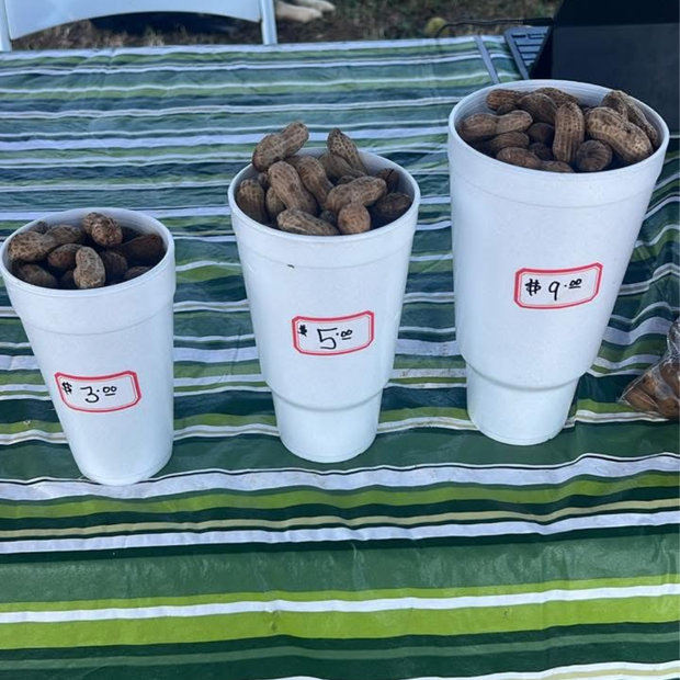 Boiled Peanuts - Traditional and Cajun Flavored