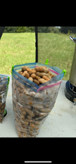 Boiled Peanuts - Traditional and Cajun Flavored
