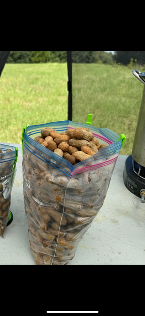 Boiled Peanuts - Traditional and Cajun Flavored
