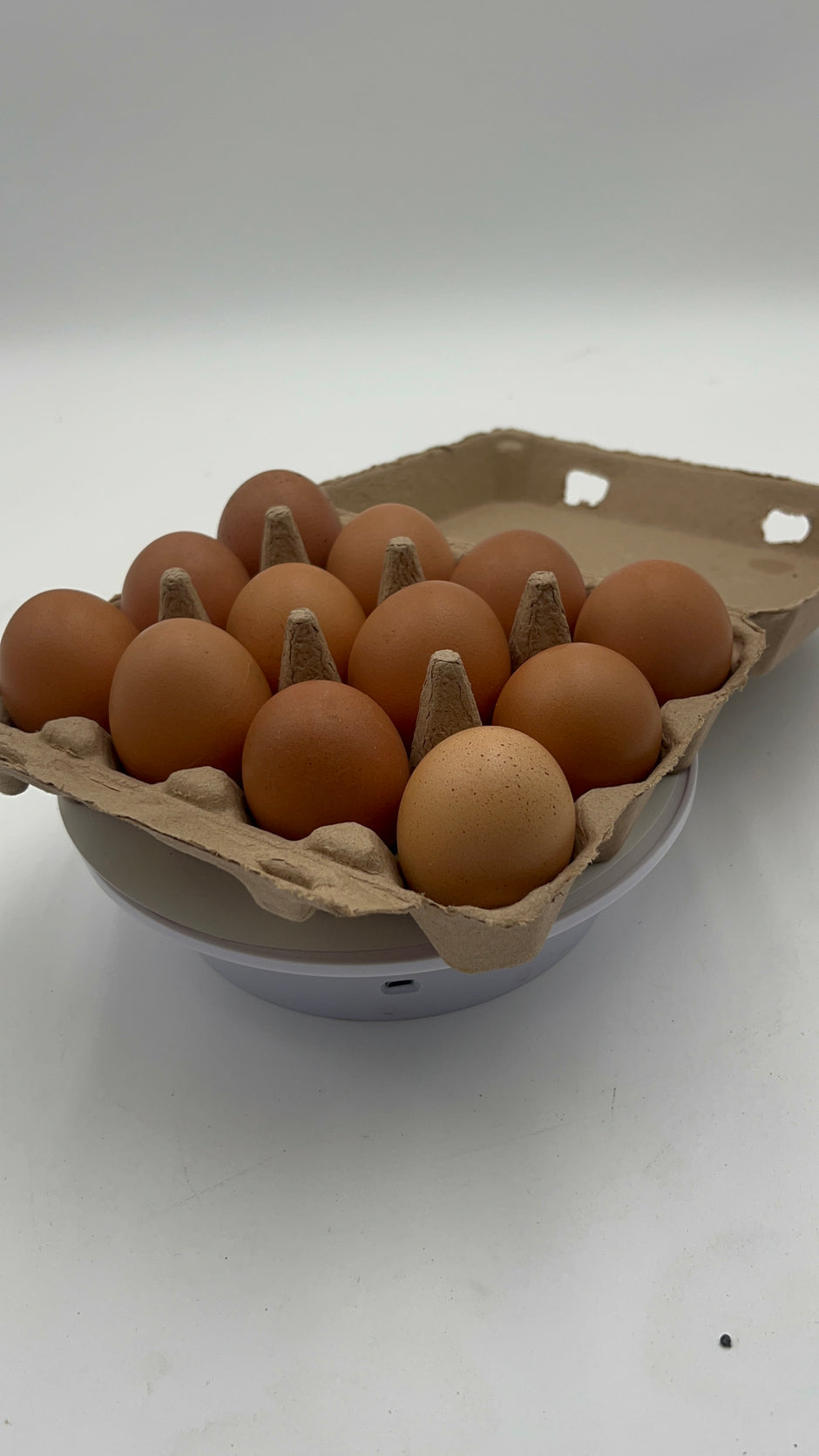 Farm Fresh Eggs